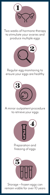 Egg Freezing 5 Step Process