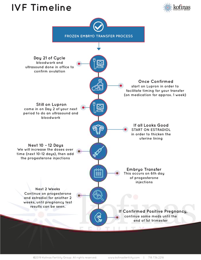 page-2-IVF-egg-steps-infographic-printer-friendly-FINAL
