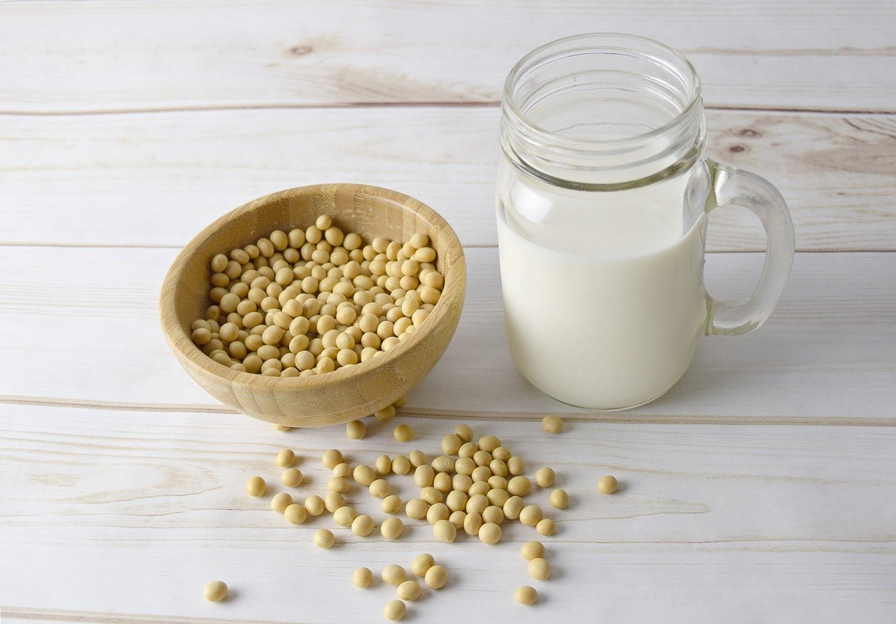 link between soy and infertility