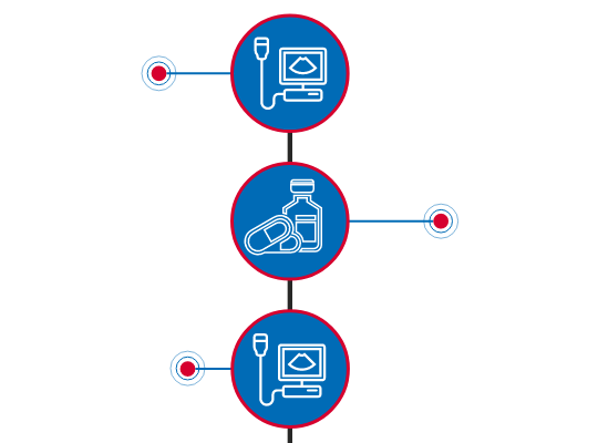 Kofinas IVF Timeline